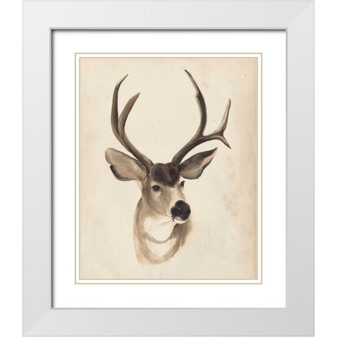 Watercolor Animal Study II White Modern Wood Framed Art Print with Double Matting by Popp, Grace
