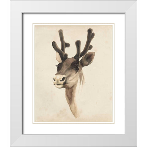 Watercolor Animal Study III White Modern Wood Framed Art Print with Double Matting by Popp, Grace