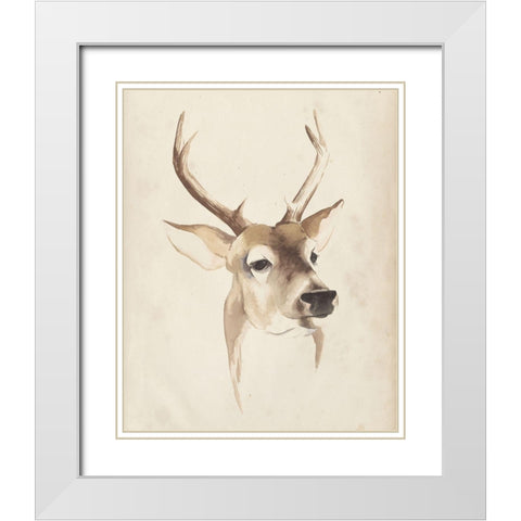 Watercolor Animal Study IV White Modern Wood Framed Art Print with Double Matting by Popp, Grace
