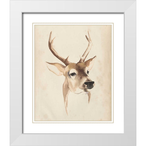 Watercolor Animal Study IV White Modern Wood Framed Art Print with Double Matting by Popp, Grace