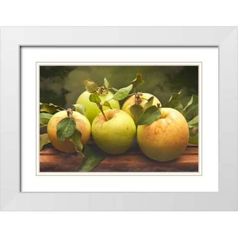 Jills Green Apples I White Modern Wood Framed Art Print with Double Matting by Perry, Rachel