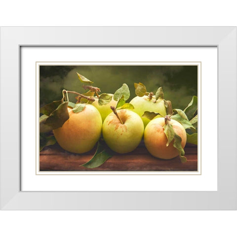 Jills Green Apples II White Modern Wood Framed Art Print with Double Matting by Perry, Rachel