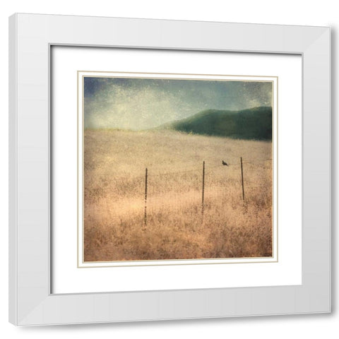 In Country II White Modern Wood Framed Art Print with Double Matting by Malek, Honey
