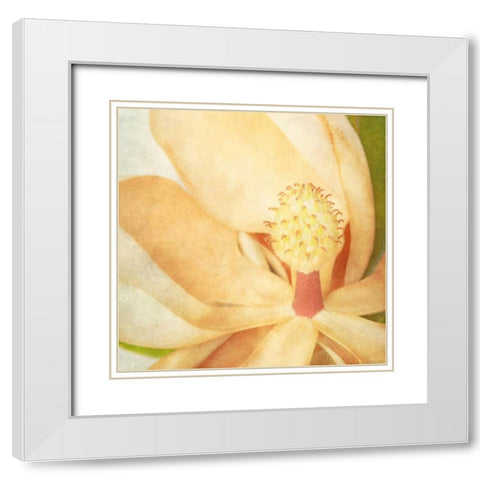 Vintage Magnolia II White Modern Wood Framed Art Print with Double Matting by Malek, Honey