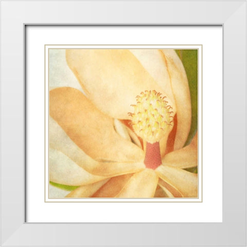 Vintage Magnolia II White Modern Wood Framed Art Print with Double Matting by Malek, Honey