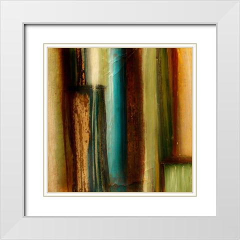 Spice Impressions VI White Modern Wood Framed Art Print with Double Matting by Orlov, Irena