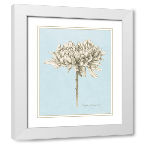 Graphite Botanical Study II White Modern Wood Framed Art Print with Double Matting by Popp, Grace