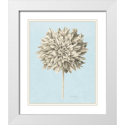 Graphite Botanical Study III White Modern Wood Framed Art Print with Double Matting by Popp, Grace