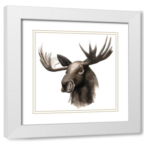 Western Animal Study III White Modern Wood Framed Art Print with Double Matting by Popp, Grace