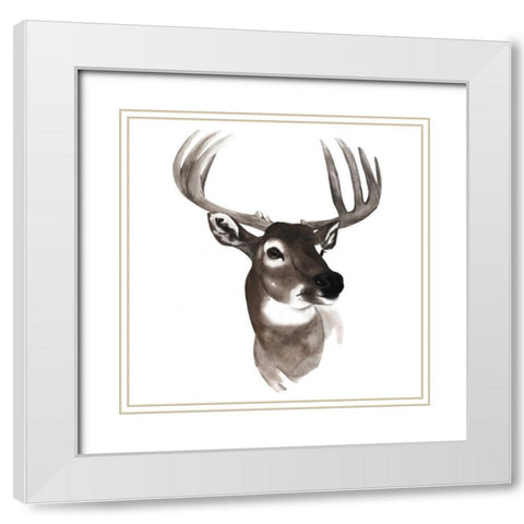 Western Animal Study VI White Modern Wood Framed Art Print with Double Matting by Popp, Grace