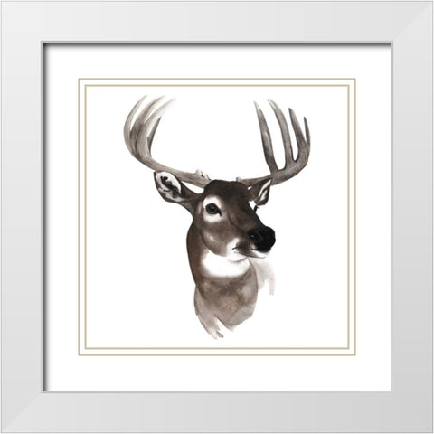 Western Animal Study VI White Modern Wood Framed Art Print with Double Matting by Popp, Grace