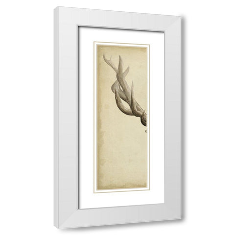 Triptych Elk I White Modern Wood Framed Art Print with Double Matting by Popp, Grace