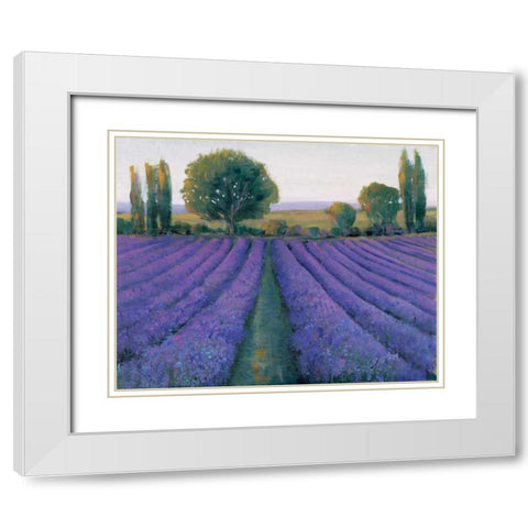 Lavender Field II White Modern Wood Framed Art Print with Double Matting by OToole, Tim