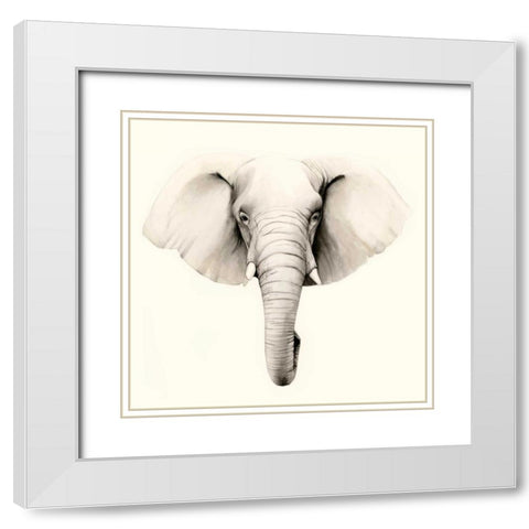 Safari Portrait IV White Modern Wood Framed Art Print with Double Matting by Popp, Grace