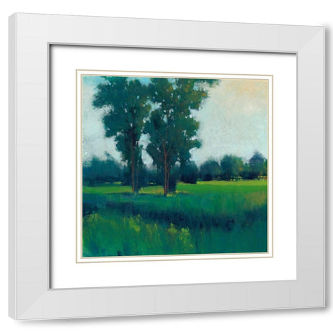 Afternoon Sun I White Modern Wood Framed Art Print with Double Matting by OToole, Tim