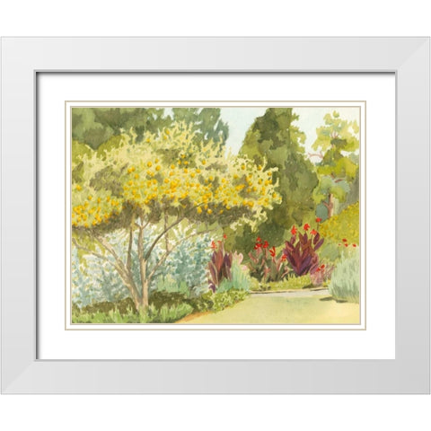 Plein Air Garden VI White Modern Wood Framed Art Print with Double Matting by Miller, Dianne