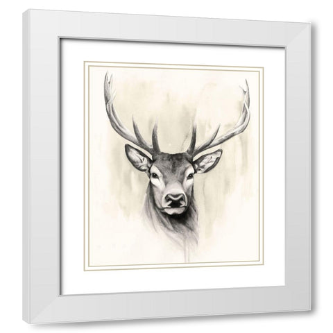 Timberland Animals I White Modern Wood Framed Art Print with Double Matting by Popp, Grace