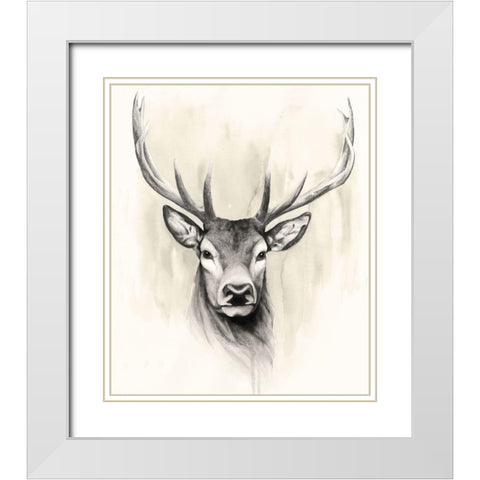 Timberland Animals I White Modern Wood Framed Art Print with Double Matting by Popp, Grace