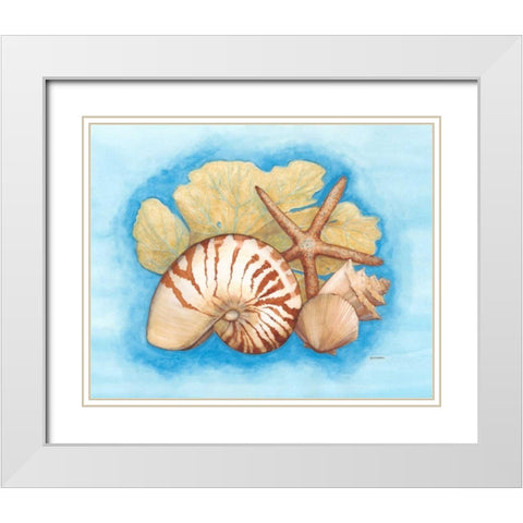 Seashells and Seafan I White Modern Wood Framed Art Print with Double Matting by Russell, Wendy