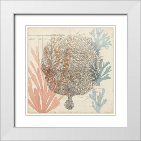 Sea Ephemera I White Modern Wood Framed Art Print with Double Matting by Popp, Grace