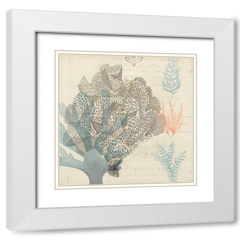 Sea Ephemera III White Modern Wood Framed Art Print with Double Matting by Popp, Grace