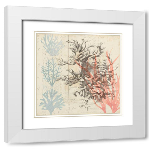 Sea Ephemera IV White Modern Wood Framed Art Print with Double Matting by Popp, Grace