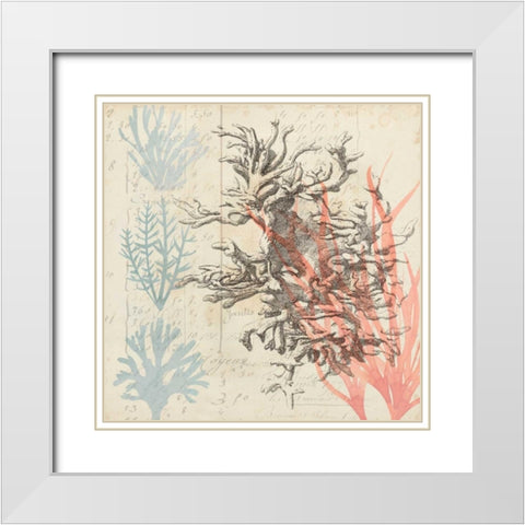 Sea Ephemera IV White Modern Wood Framed Art Print with Double Matting by Popp, Grace