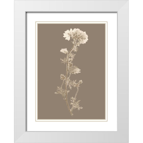 Taupe Nature Study I Custom White Modern Wood Framed Art Print with Double Matting by Vision Studio