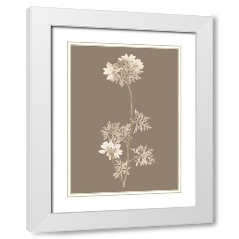 Taupe Nature Study II Custom White Modern Wood Framed Art Print with Double Matting by Vision Studio