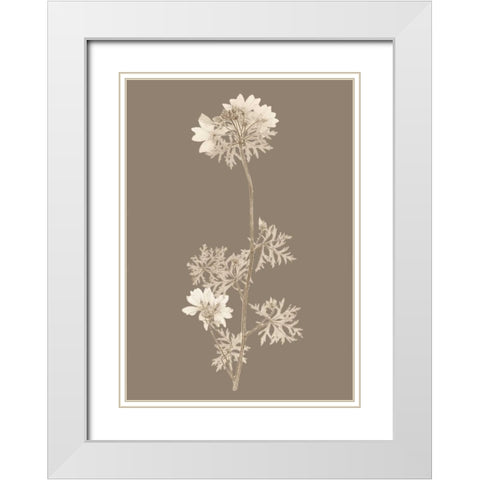 Taupe Nature Study II Custom White Modern Wood Framed Art Print with Double Matting by Vision Studio