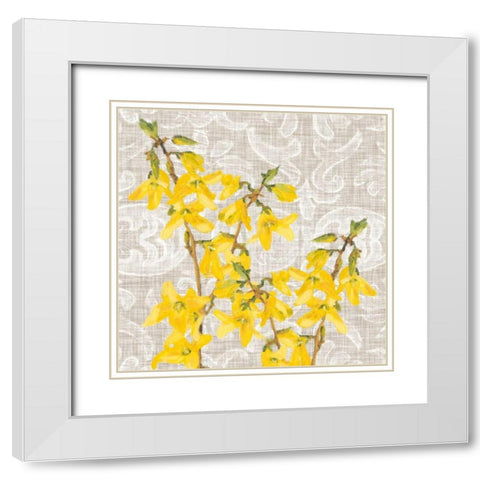 Flower Collection Study C White Modern Wood Framed Art Print with Double Matting by Miller, Diane