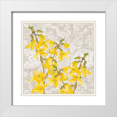 Flower Collection Study C White Modern Wood Framed Art Print with Double Matting by Miller, Diane