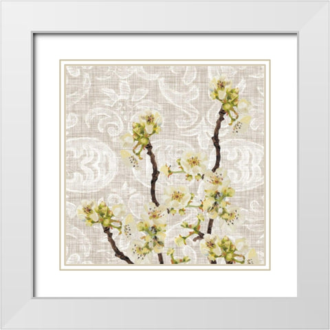 Flower Collection Study E White Modern Wood Framed Art Print with Double Matting by Miller, Diane