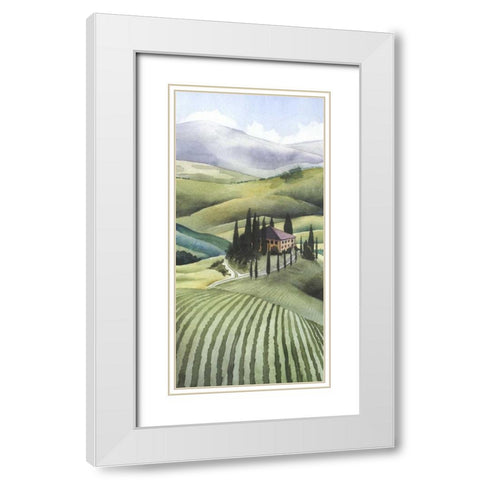 Mediterranean Olive Oil Collection B White Modern Wood Framed Art Print with Double Matting by Popp, Grace