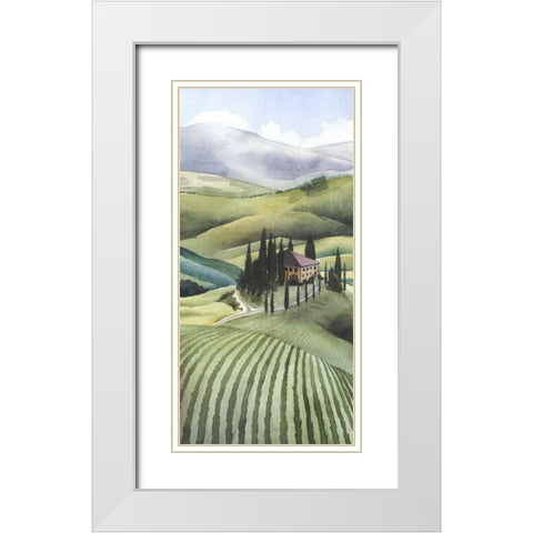 Mediterranean Olive Oil Collection B White Modern Wood Framed Art Print with Double Matting by Popp, Grace