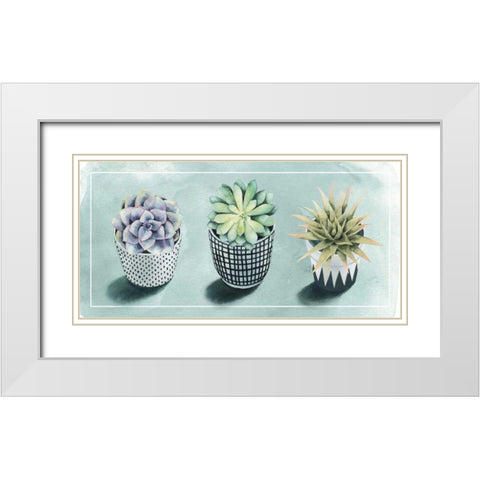 Succulent Love Collection C White Modern Wood Framed Art Print with Double Matting by Popp, Grace