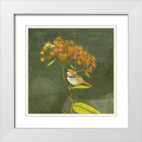 Birding Collection C White Modern Wood Framed Art Print with Double Matting by Zarris, Chariklia