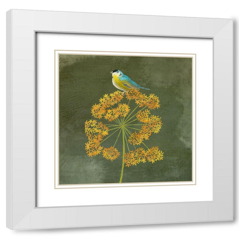 Birding Collection E White Modern Wood Framed Art Print with Double Matting by Zarris, Chariklia