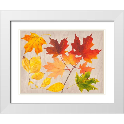 Autumn Leaves Collection A White Modern Wood Framed Art Print with Double Matting by Miller, Dianne