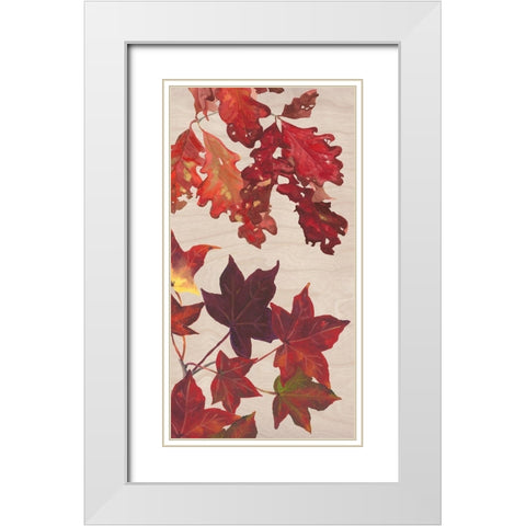 Autumn Leaves Collection B White Modern Wood Framed Art Print with Double Matting by Miller, Dianne