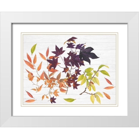 Sweet Foliage Collection A White Modern Wood Framed Art Print with Double Matting by Miller, Dianne
