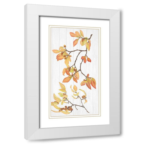 Sweet Foliage Collection B White Modern Wood Framed Art Print with Double Matting by Miller, Dianne