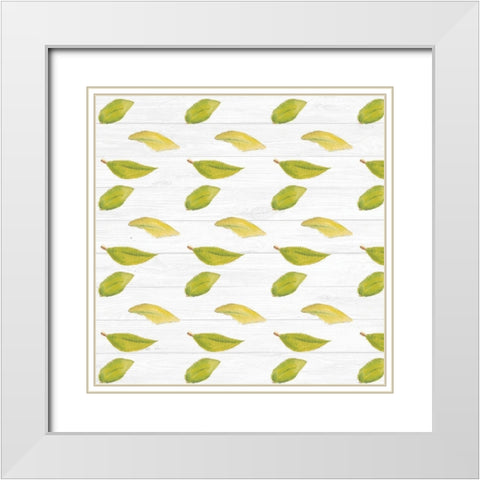 Sweet Foliage Collection F White Modern Wood Framed Art Print with Double Matting by Miller, Dianne