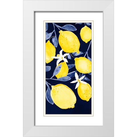 Fresh Fruit Collection B White Modern Wood Framed Art Print with Double Matting by Borges, Victoria