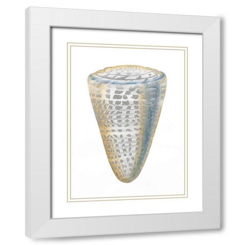 Silver Foil Shell I with Hand Color White Modern Wood Framed Art Print with Double Matting by Vision Studio
