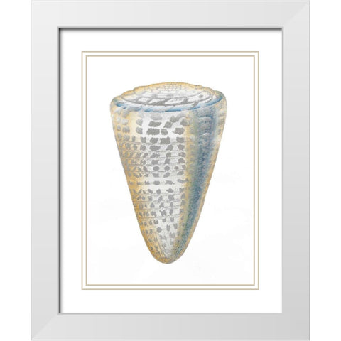 Silver Foil Shell I with Hand Color White Modern Wood Framed Art Print with Double Matting by Vision Studio