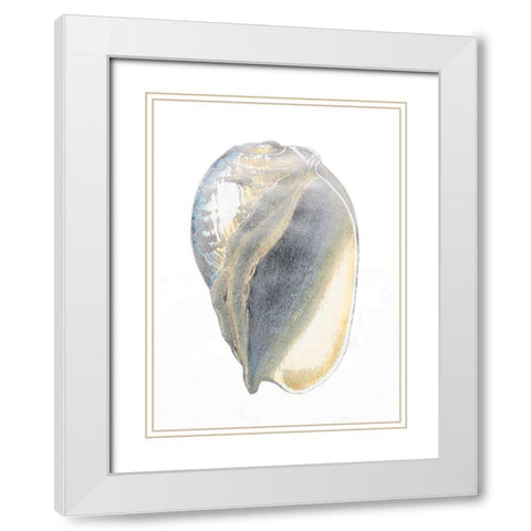 Silver Foil Shell IV with Hand Color White Modern Wood Framed Art Print with Double Matting by Vision Studio