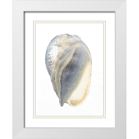 Silver Foil Shell IV with Hand Color White Modern Wood Framed Art Print with Double Matting by Vision Studio