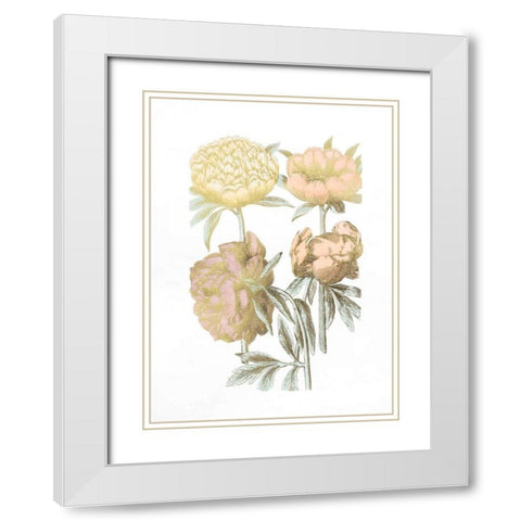 Gold Foil Chintz II with Hand Color White Modern Wood Framed Art Print with Double Matting by Vision Studio
