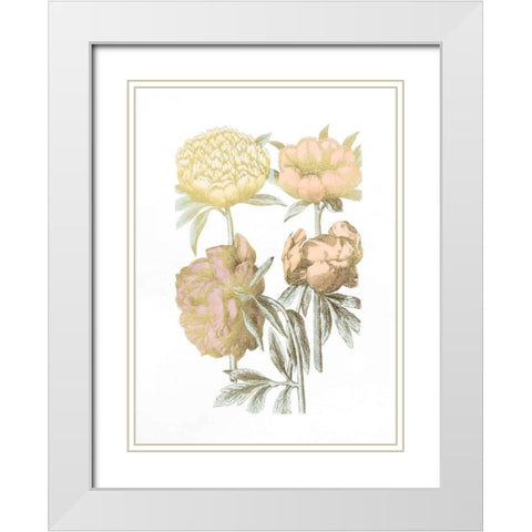 Gold Foil Chintz II with Hand Color White Modern Wood Framed Art Print with Double Matting by Vision Studio